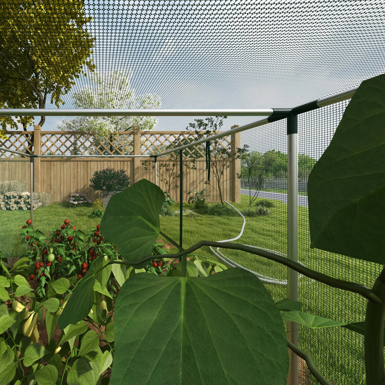 Thumbnail 4